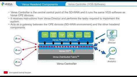 versa sd wan setup